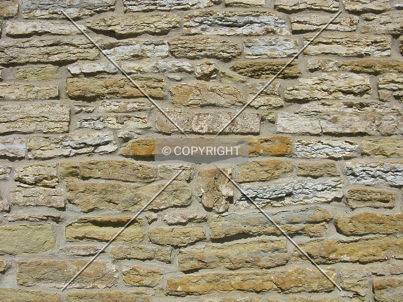 Photo 783-885-873
