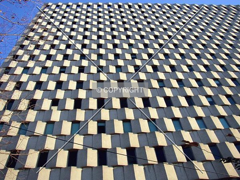Photo 784-609-245