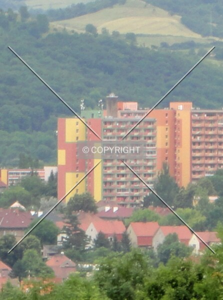Aléská 256