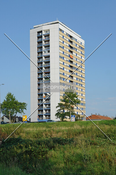 Honsellstraße 8