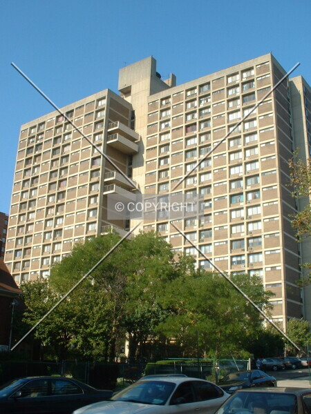 Photo 786-174-363