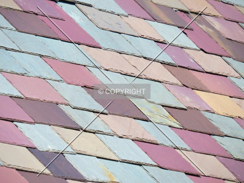 Photo 786-831-447