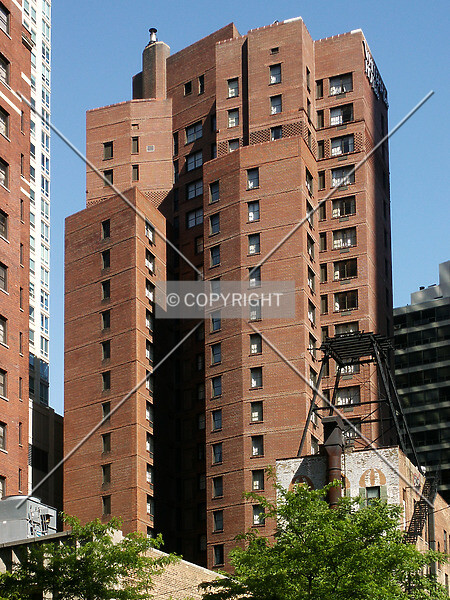 Photo 787-503-655