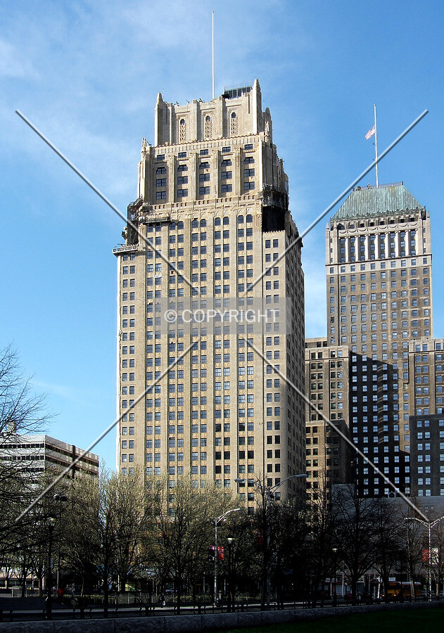 View from the north