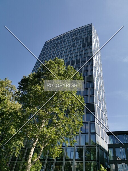 Photo 791-497-169