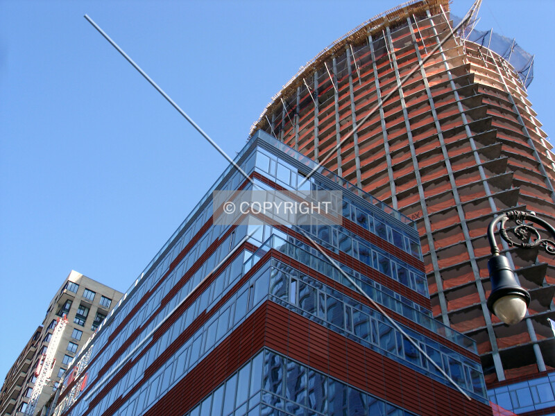 793-036-081