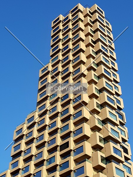 Photo 793-969-709