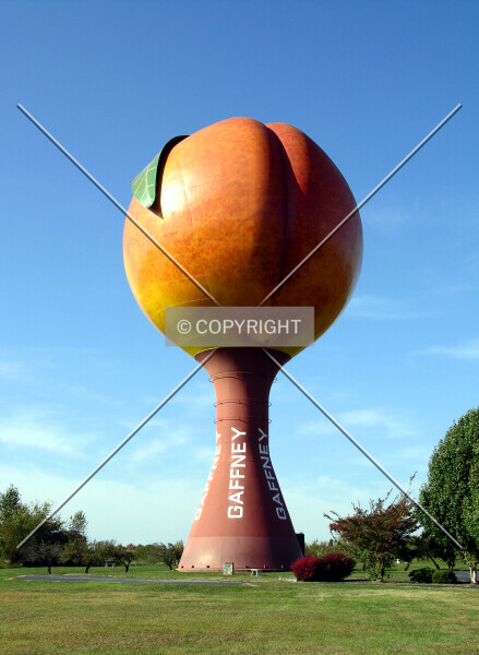 Photo 794-279-731