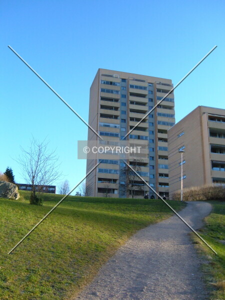 Photo 795-013-274