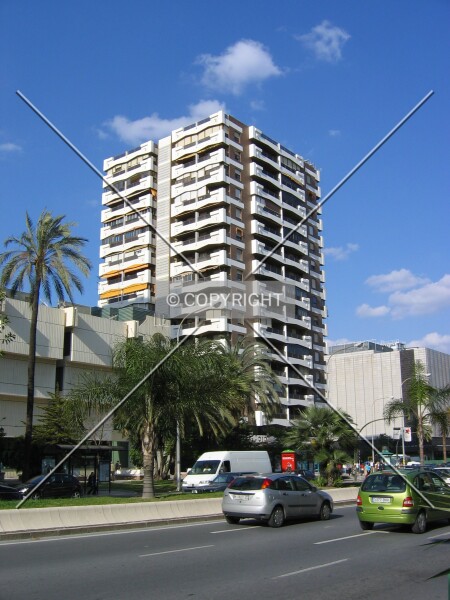 Photo 795-188-338