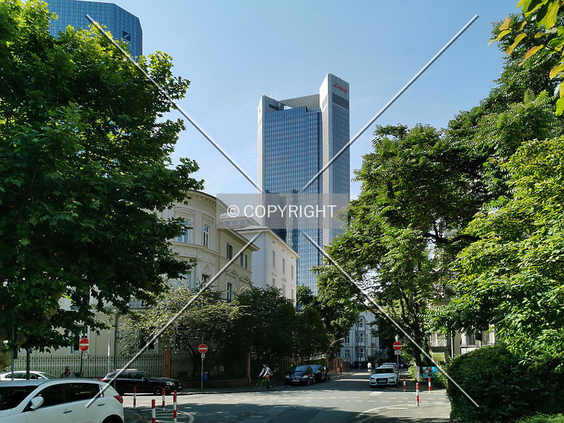 Photo 795-704-757