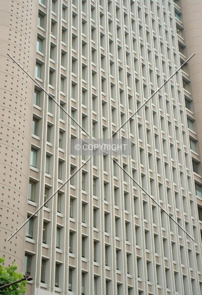 Photo 796-185-361