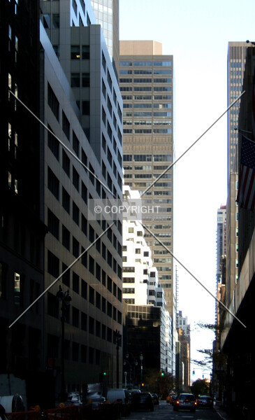 Photo 796-234-273