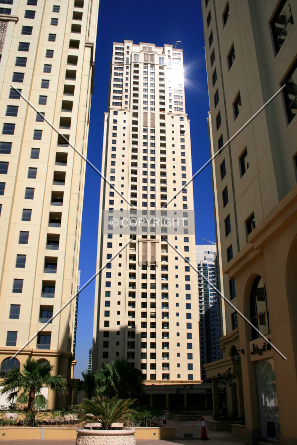 View from the north