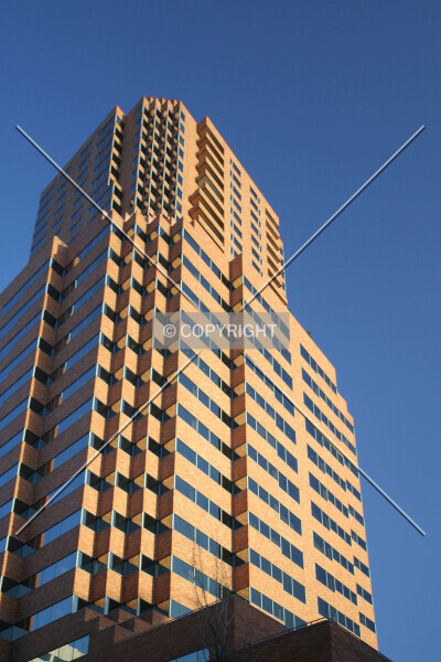 Photo 797-134-185