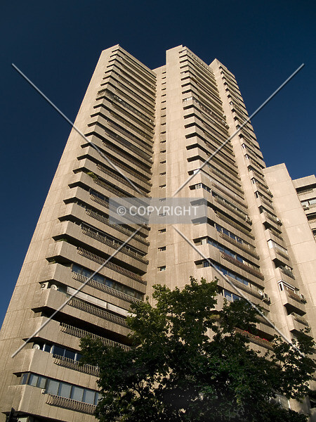 Photo 797-686-017