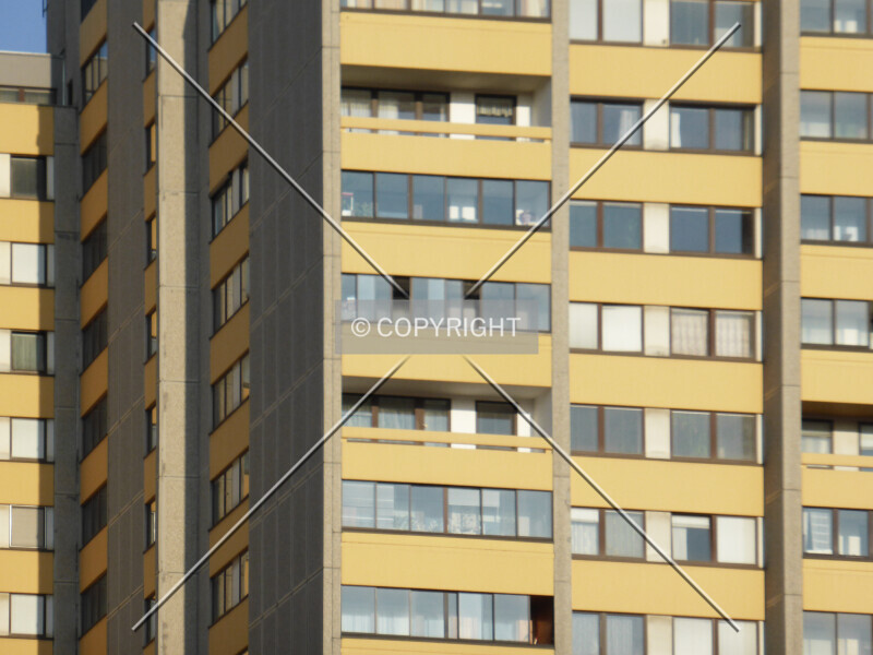 Photo 797-833-583