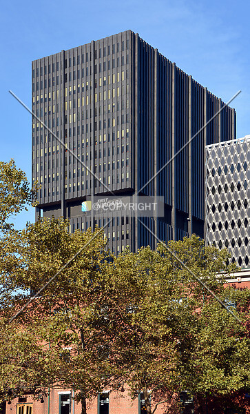 Photo 798-604-734