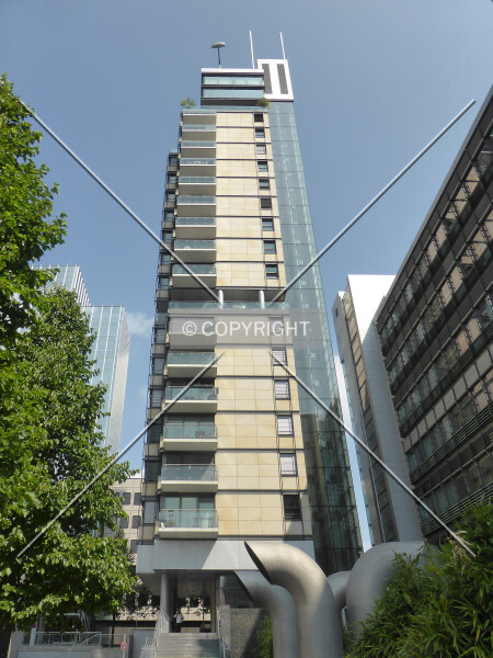 Photo 798-745-782