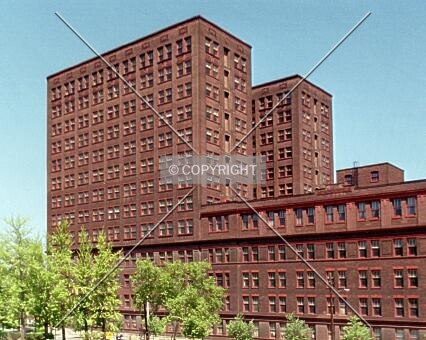 Photo 798-942-186