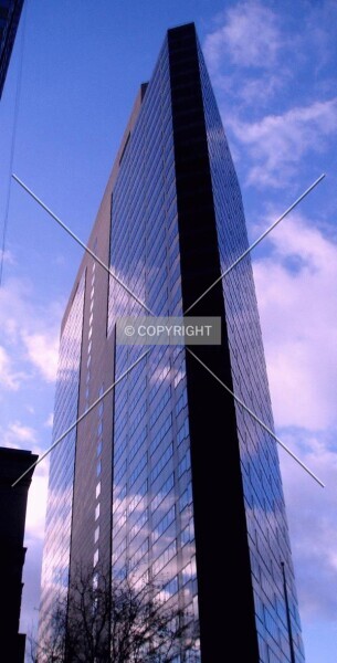 Photo 799-705-816