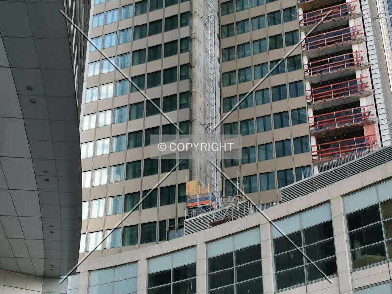 Photo 803-239-104