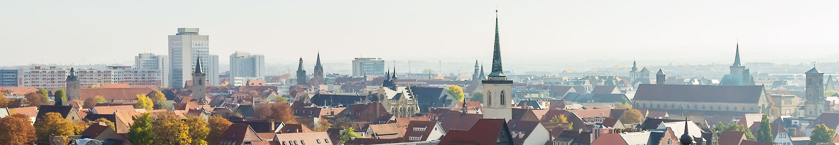 Panorama of Erfurt