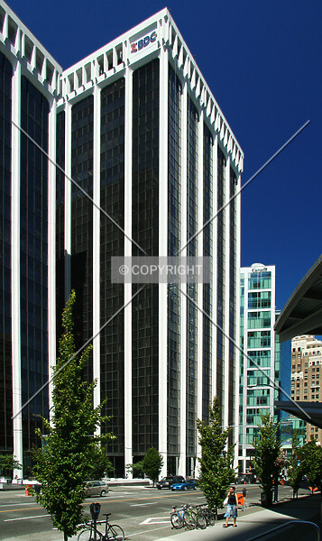 Photo 806-115-781