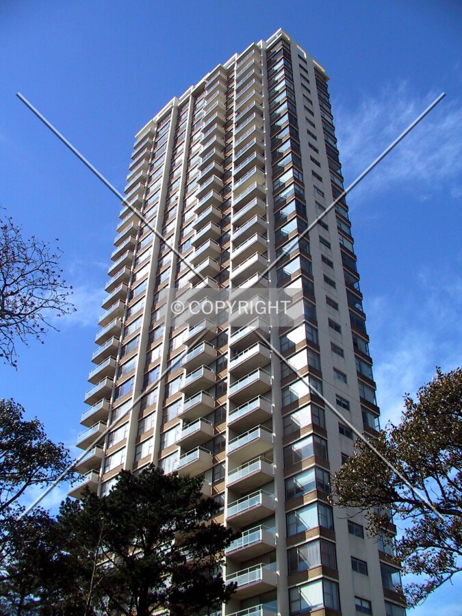 Looking up from Darling Point Road