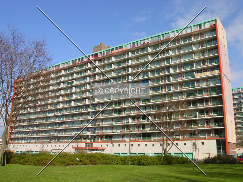 Treubstraat 1-156