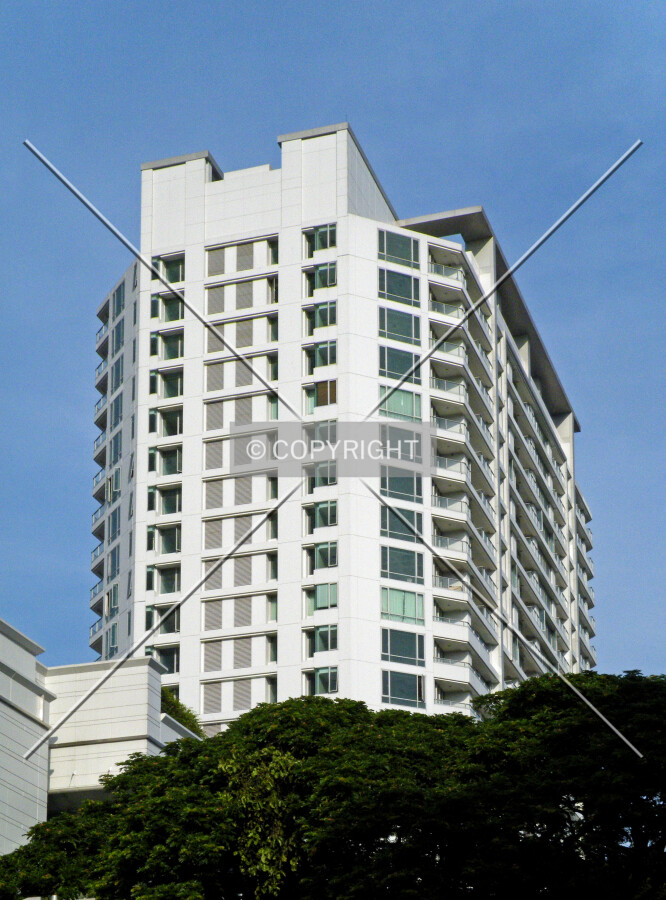 View from the east