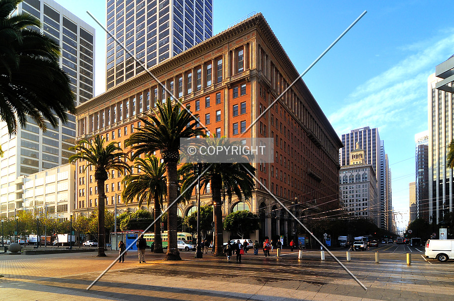 Photo 275-353-484