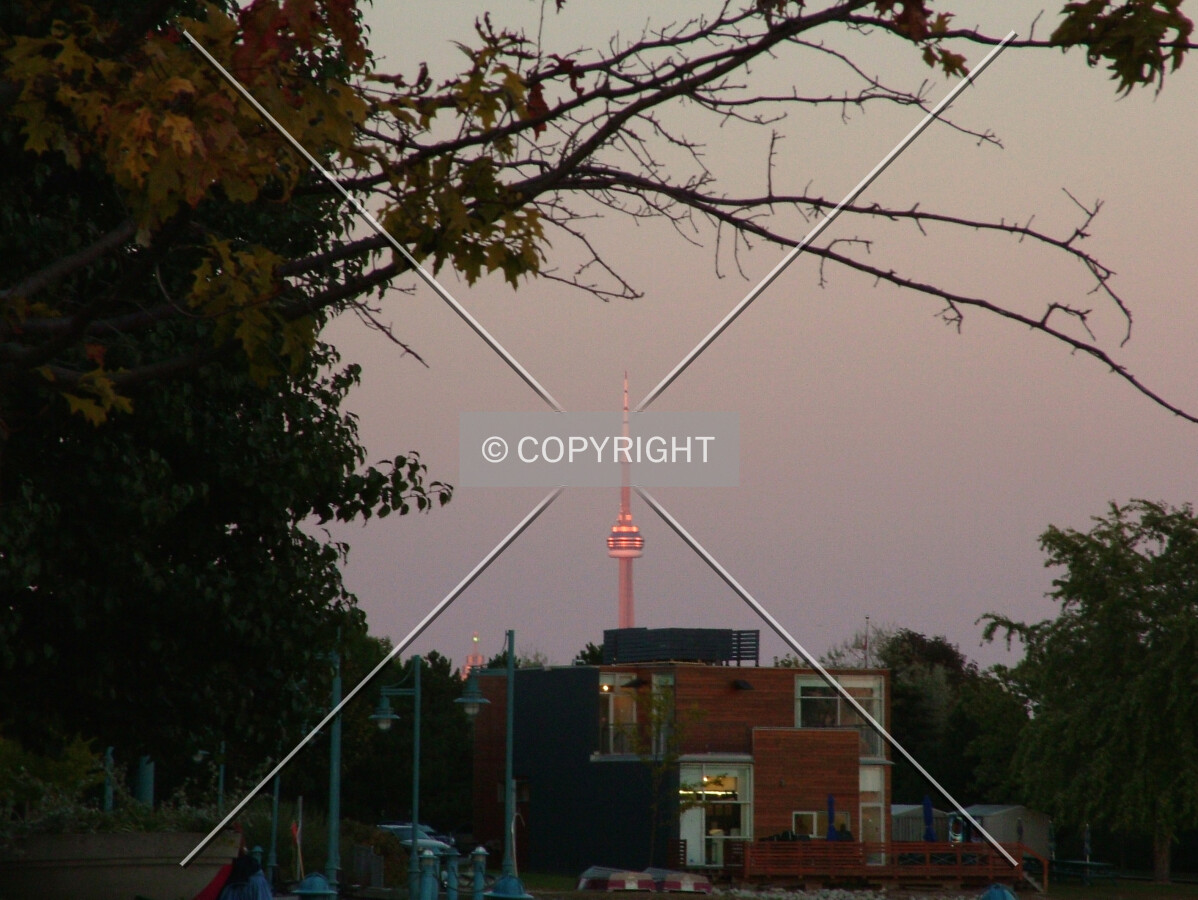 Golden light of early spring sunset shines on the skypod as seen from Mimico Creek