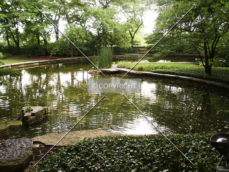 Photo 822-217-466