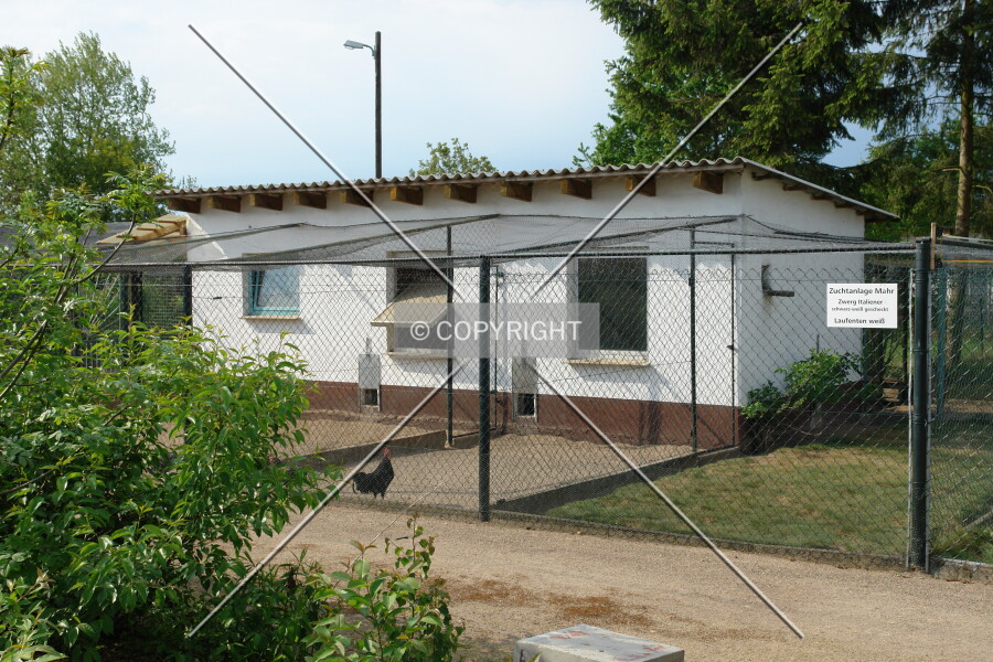 Photo 823-653-440