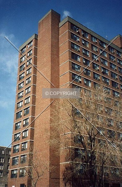 Photo 823-783-320