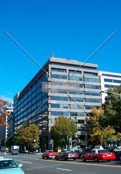 Photo 825-163-392