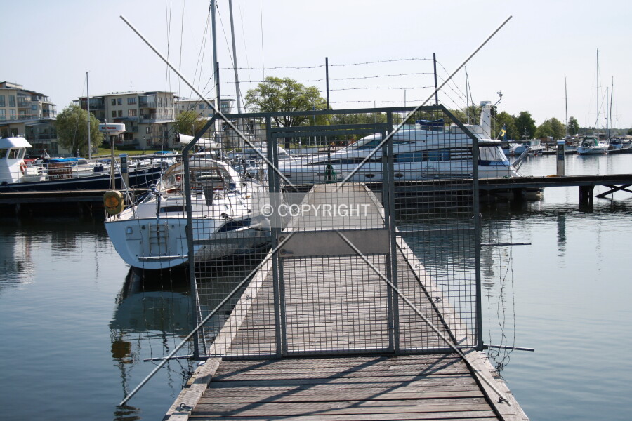 Photo 826-223-726
