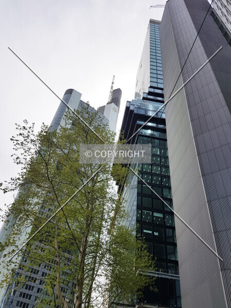 Photo 827-172-931