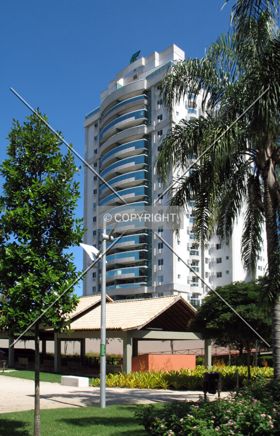 View from Avenida dos Flamboyants