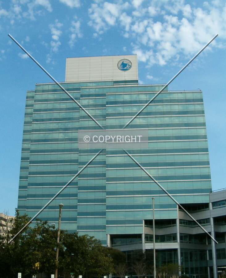 View from Traffic circle