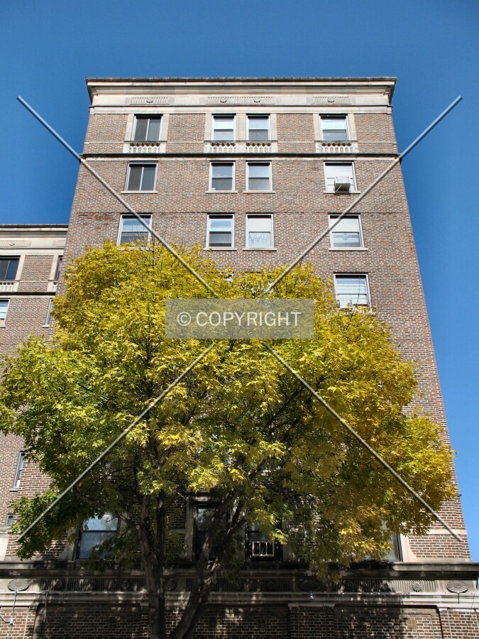 Looking up the east wing from 3rd Street
