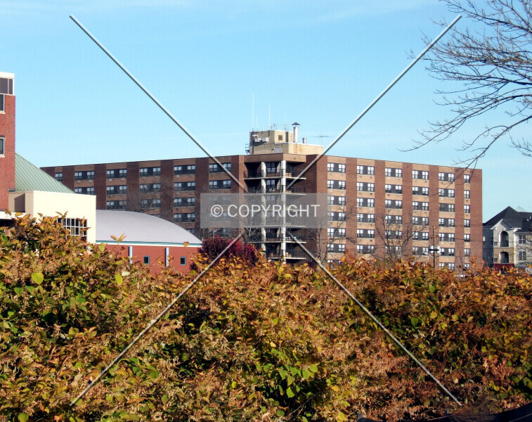 Golden Age Towers