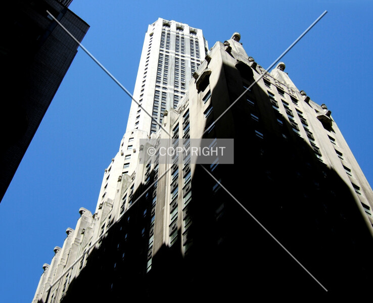 Photo 841-443-421