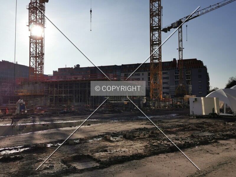 Photo 842-003-921