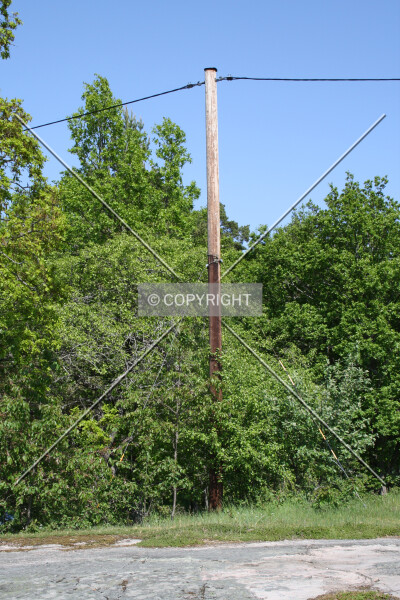 Photo 849-169-568
