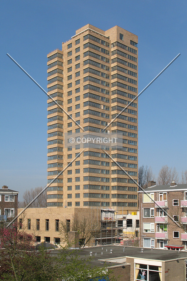 View from the south