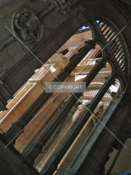Photo 854-583-276