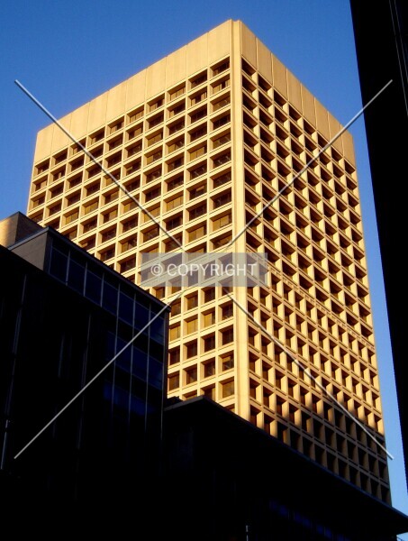 Photo 282-532-253