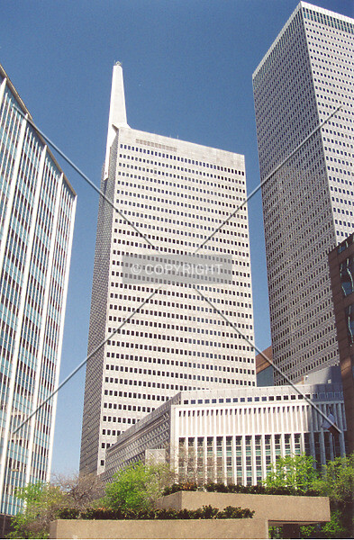 Photo 856-177-272